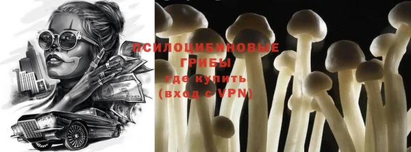 стафф Зеленодольск