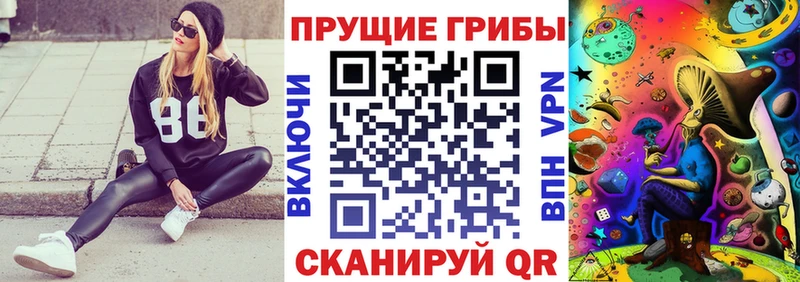 Галлюциногенные грибы прущие грибы  Димитровград 